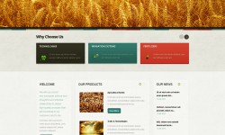 Etiam dictum egestas